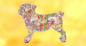 14 tolle Tier-Buchstützen